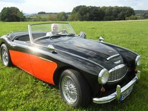 Thumbnail von Special opportunity! Austin Healey Convertible H-registration