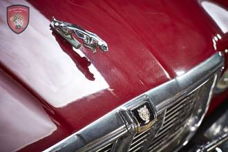Thumbnail von Jaguar XJ C 4.2 Cabrio