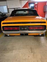 Thumbnail von ORIGINAL 1970 - Ford Shelby GT350 (Orange, open with Hardtop)