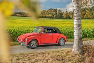 Thumbnail von Beetle Cabrio 1303 Mars Red