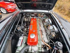 Thumbnail von Austin Healey A H 100/6 BN4 2+2 - German top restoration!