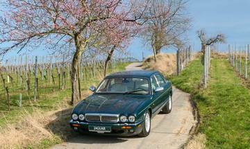 Thumbnail von Jaguar Daimler V8 Long Version 3 Years Warranty
