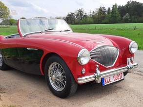 Thumbnail von Austin Healey 100/4