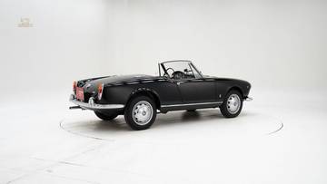 Thumbnail von Alfa Romeo 1600 Giulia Spider '63