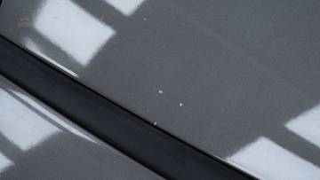 Thumbnail von Porsche 911 964 Carrera 2 '91
