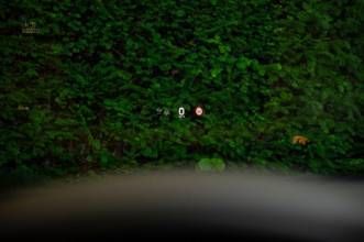 Thumbnail von Porsche Taycan 4S SportDesign |1st HD|HUD|BeiDis|NaSi|PDCC