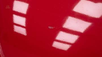 Thumbnail von Volkswagen 1302 Kever '72