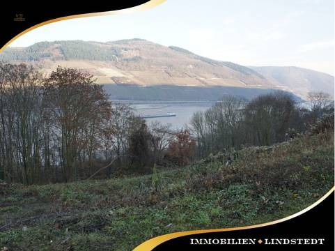 immobilien-lindstedt.de / RHEINBLICK GESUCHT? BAUPLATZ GESUCHT? BITTESCHÖN!
