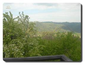 Thumbnail von Immogold Zeitgenössische Villa in Panoramalage