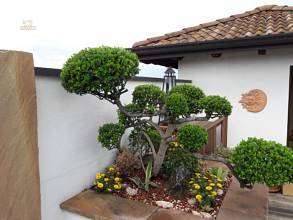 Thumbnail von Exclusive, schöne, geräumige vier Zimmer Wohnung in Peschiera