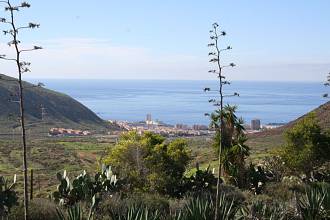 Thumbnail von CHAYOFA COUNTRY CLUB / TENERIFE   VILLAS FOR SALE