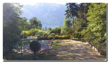 Immogold, Baugrundstück in ruhiger Lage und mit sonnigen Aussichten