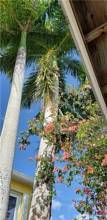 Thumbnail von 2614 SW 39th Terrace Cape Coral, FL 33914