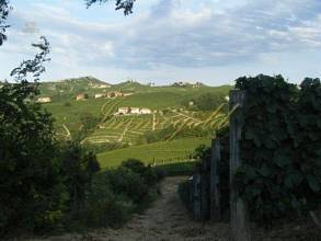 Thumbnail von Ansprechendes Landhaus in den Weinhügeln