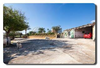 Thumbnail von Immogold Mallorca, MWS 15-064-MWOH Finca, für Pferdeliebhaber