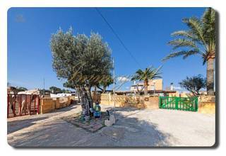 Thumbnail von Immogold Mallorca, MWS 15-064-MWOH Finca, für Pferdeliebhaber