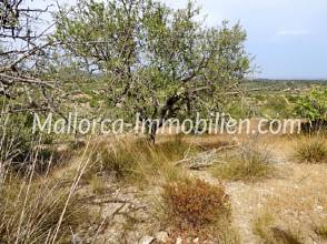 Thumbnail von PROPERTY IN HILLY LOCATION WITH SEA VIEW