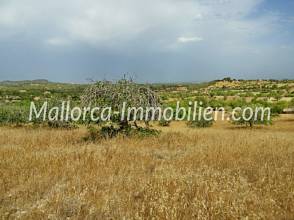 Thumbnail von PROPERTY IN HILLY LOCATION WITH SEA VIEW