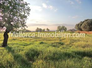 Thumbnail von GRUNDSTÜCK MIT EINEM HERRLICHEN PANORAMABLICK