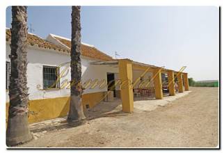 Thumbnail von Immogold Oliven Finca mit ca. 2.000.000 m² Grundstück und Pool