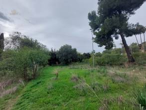 Thumbnail von Nagüeles Land ES133869