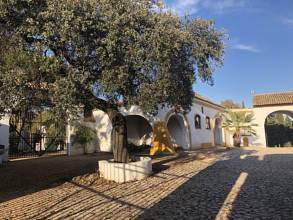 Thumbnail von Sevilla Country House ES133784