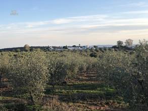 Thumbnail von Sevilla Country House ES133784