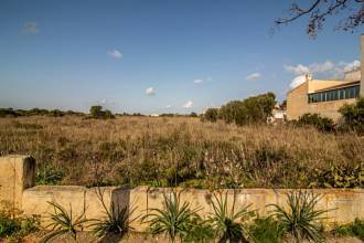 Thumbnail von Land For Sale in Manacor, Baleares