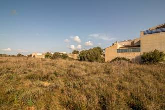 Thumbnail von Land For Sale in Manacor, Baleares