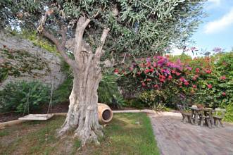 Thumbnail von Alicante City Villa ES127063