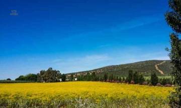 Thumbnail von Antequera Commercial Property ES124444