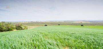 Thumbnail von Antequera Commercial Property ES124444