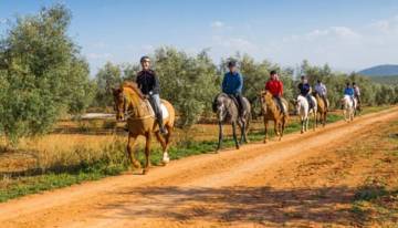Thumbnail von Antequera Commercial Property ES124444