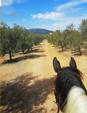 Thumbnail von Antequera Commercial Property ES124444