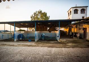 Thumbnail von Antequera Commercial Property ES124444