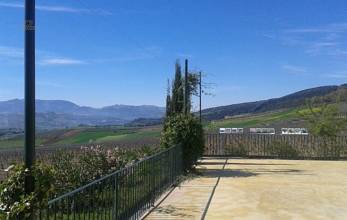  Ronda Commercial Property ES132327