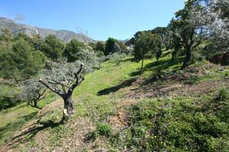 Thumbnail von Mijas Villa ES119137