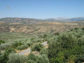 Thumbnail von Commercial Property For Sale in Antequera, Málaga