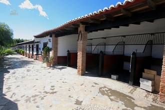 Thumbnail von Villa For Sale in Mijas, Málaga