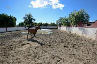 Thumbnail von Villa For Sale in Mijas, Málaga