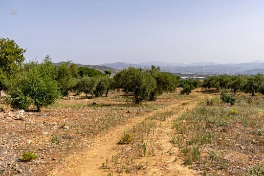 Land For Sale in Alhaurin de la Torre, Málaga
