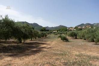 Thumbnail von Land For Sale in Alhaurin de la Torre, Málaga