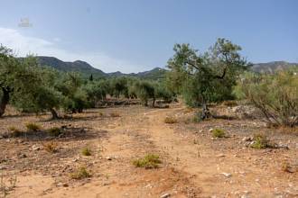 Thumbnail von Land For Sale in Alhaurin de la Torre, Málaga