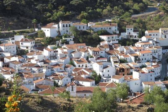 Commercial Property For Sale in Benadalida, Málaga