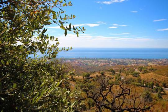Commercial Property For Sale in LA Mairena, Málaga