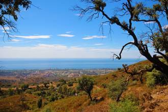 Thumbnail von Commercial Property For Sale in LA Mairena, Málaga