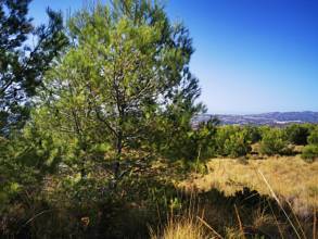 Thumbnail von Land For Sale in Mijas, Málaga
