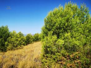 Thumbnail von Land For Sale in Mijas, Málaga