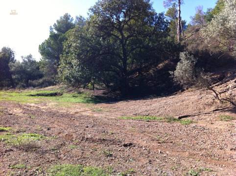Land For Sale in Mijas, Málaga