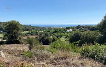 Thumbnail von Sotogrande Alto Villa ES134280